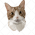 drawing vector illustration of a pet dog or cat