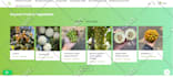 build dynamic wordpress website with crocoblock jet engine and elementor pro