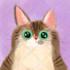 make cute cat portraits