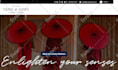 increase wordpress speed optimization, gtmetrix page speed