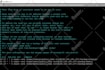migrate your website to the new server without any data loss