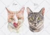 do a custom watercolor pet portrait painting