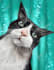 create an elegant custom pet portrait from your photo