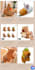 do shopify website redesign shopify store redesign set up shopify store redesign