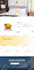 design, rebuild or customize responsive wordpress website