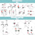 draw exercise yoga workout 2 steps 24hrs illustration