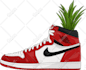 design full detail vector illustration of your sneakers