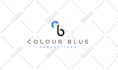 design a custom logo for you in 48h