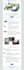 design responsive HTML email template or mailchimp template
