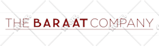 do professional custom logo design brand identity