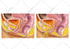 do professional medical illustrations