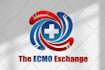 do timeless business logo design and redesign in 24 hrs