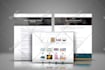 create modern wordpress business and blog website