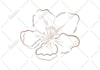 draw detailed or simple line art illustration for you