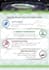 design business infographics, flowcharts, or timeline diagrams