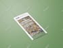 design clean modern brochure, flyer, booklet for everything