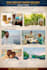 design a clean, aesthetic and personalized vision board