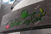 design vintage leaf logo plant, flower and nursery