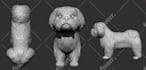 sculpt any kind of animal figure for printing
