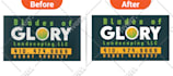 vector trace your pixelated logo,png,jpg manually and perfectly