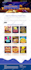 design and develop fully responsive professional website