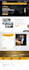create a professional wordpress website