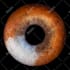 create an amazing unique iris art for you