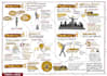 create visual summary of your non fiction book