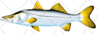 redraw, recreate and vector trace your logo manually with perfect accuracy