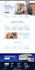 do wordpress website design redesign and website development as  a developer