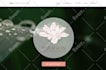 build, rebuild, design, redesign, revamp wordpress website