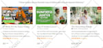 develop a thinkific lms website, thinkific expert developer