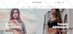 make professional shopify dropshipping store