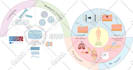 draw graphical diagrams for your article