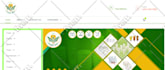 build responsive wordpress, shopify and wix website