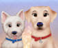 draw your pets in my cute unique style