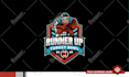 create professional logo for your baseball, softball team