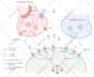 create scientific figures illustrations and diagrams