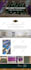 design or redesign a business wordpress website or blog
