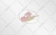 design a feminine and glamorous logo for you