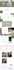 create autopilot amazon affiliate website for passive income