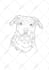 create a custom pet portrait in fine line art, jpg png svg