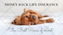 design high quality facebook ad or post image in 24 hours