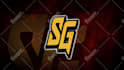 design sports logo for gaming esports team, twitch youtube