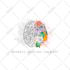design a watercolor logo and branding kit for your etsy shop
