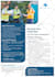 design amazing flyer with in 24 hours