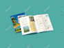 design a high end ebook, lead magnet, guide or workbook PDF
