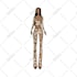 draw a fashion collection of clothes illustration or sketch for brand