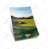 design professional 3d ebook cover, 3d box designs