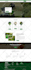 create responsive wordpress website design or website redesign